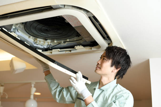 Best Ductwork Cleaning Services  in Horseshoe Bend, AR