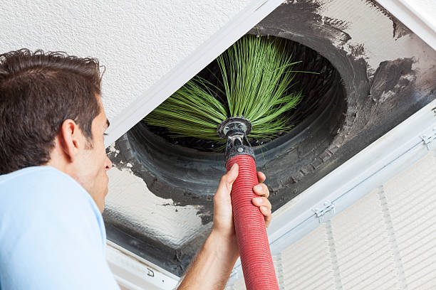 Best Affordable Air Duct Cleaning  in Horseshoe Bend, AR